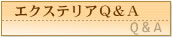 �G�N�X�e���AQ&A